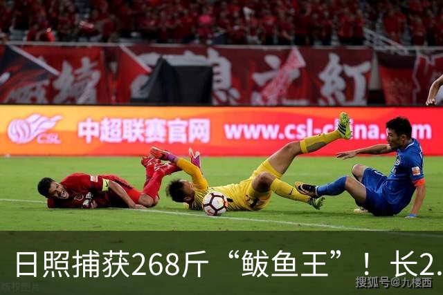 日照捕获268斤“鲅鱼王”！长2.46米！你这段买的水饺可能就是它！