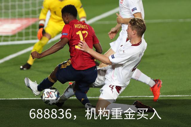688836，机构重金买入